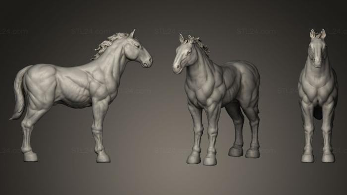 Статуэтки животных (Боевой конь, STKJ_0468) 3D модель для ЧПУ станка